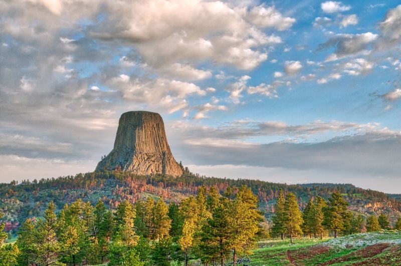 Wyoming Lease Agreements A 2024 Guide