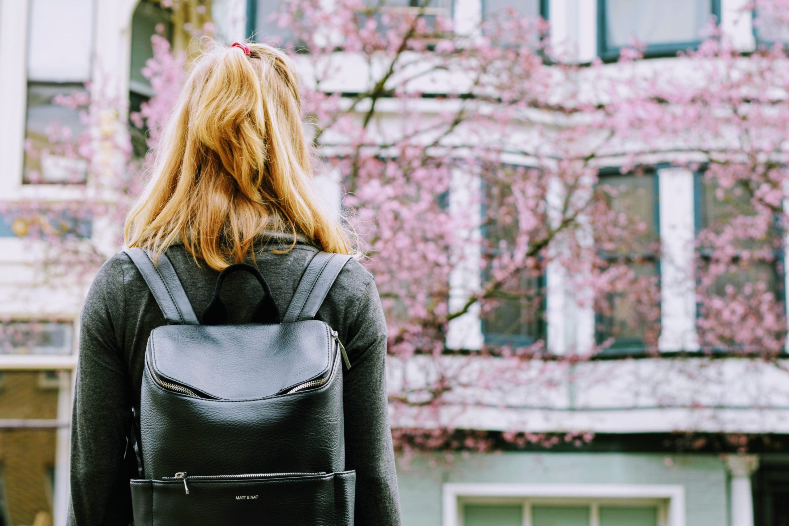 How to Manage College Town Rentals as a Landlord