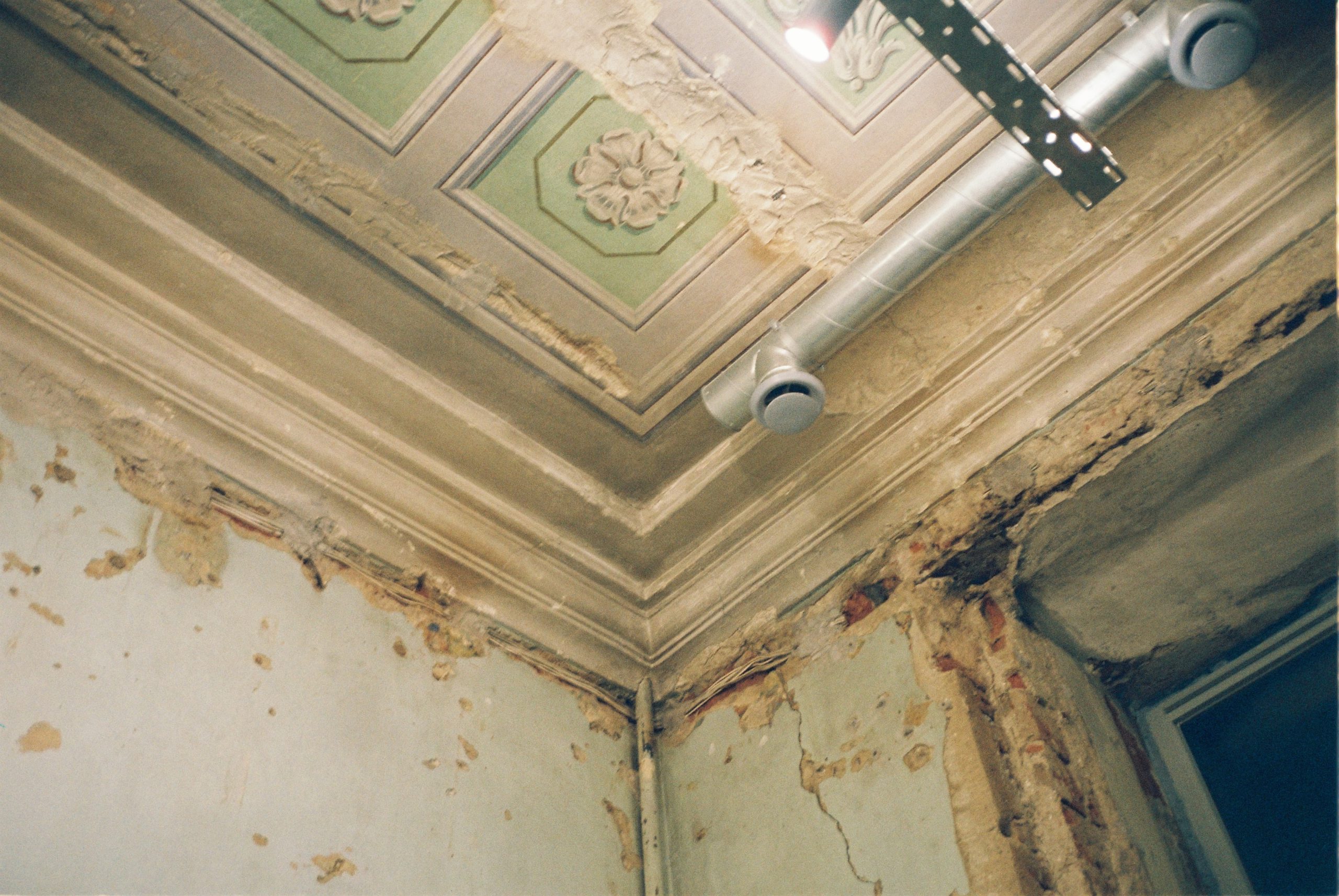 How to Handle Mold in Rental Properties: A Landlord’s Guide