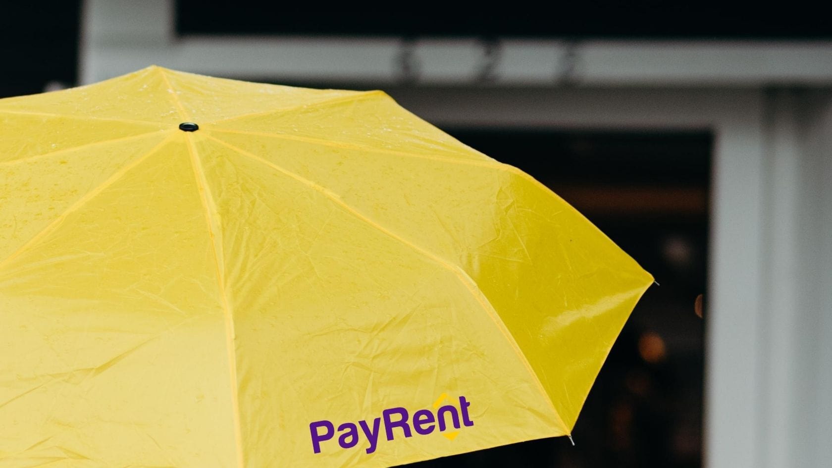 Protect Yourself with PayRent Online Rent Collection