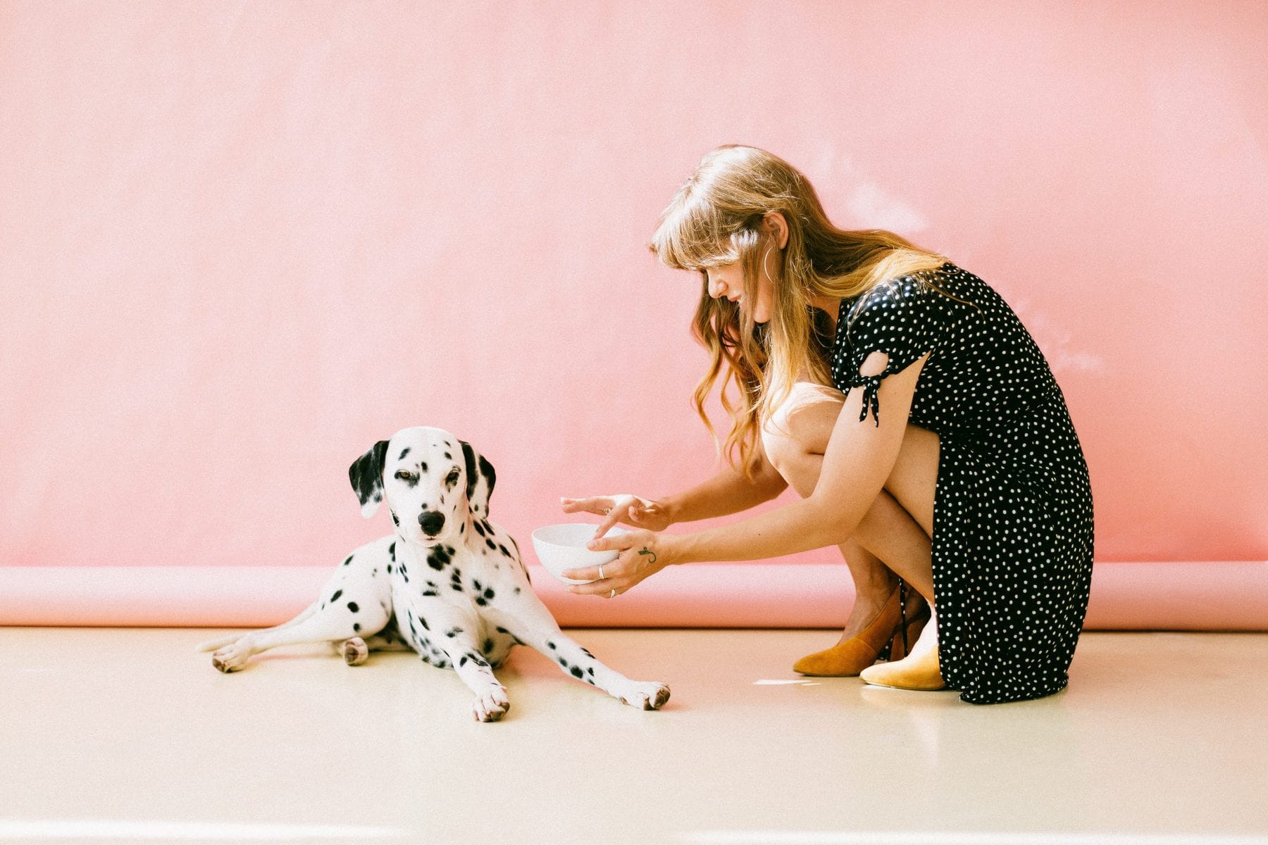 Fido Or Fluffy: What Pets Should you Allow in Your Rentals?