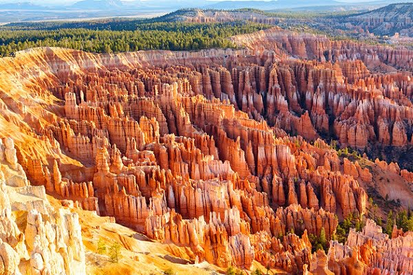 Utah Lease Agreements: A 2024 Guide