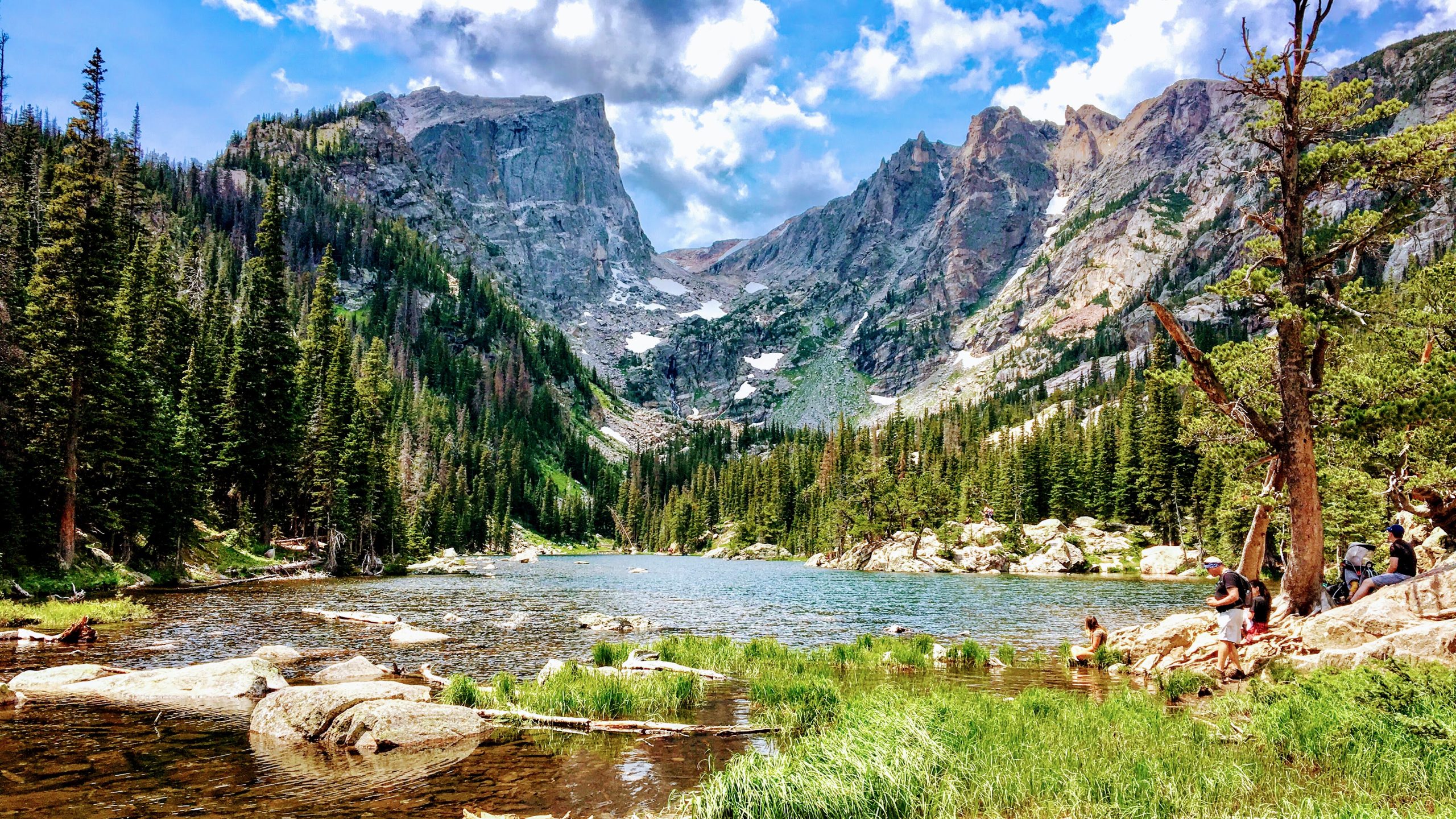 Colorado Lease Agreements: A 2024 Guide
