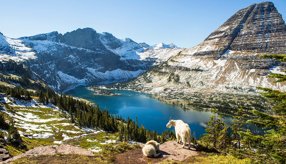 How to Calculate Montana Property Tax 2024