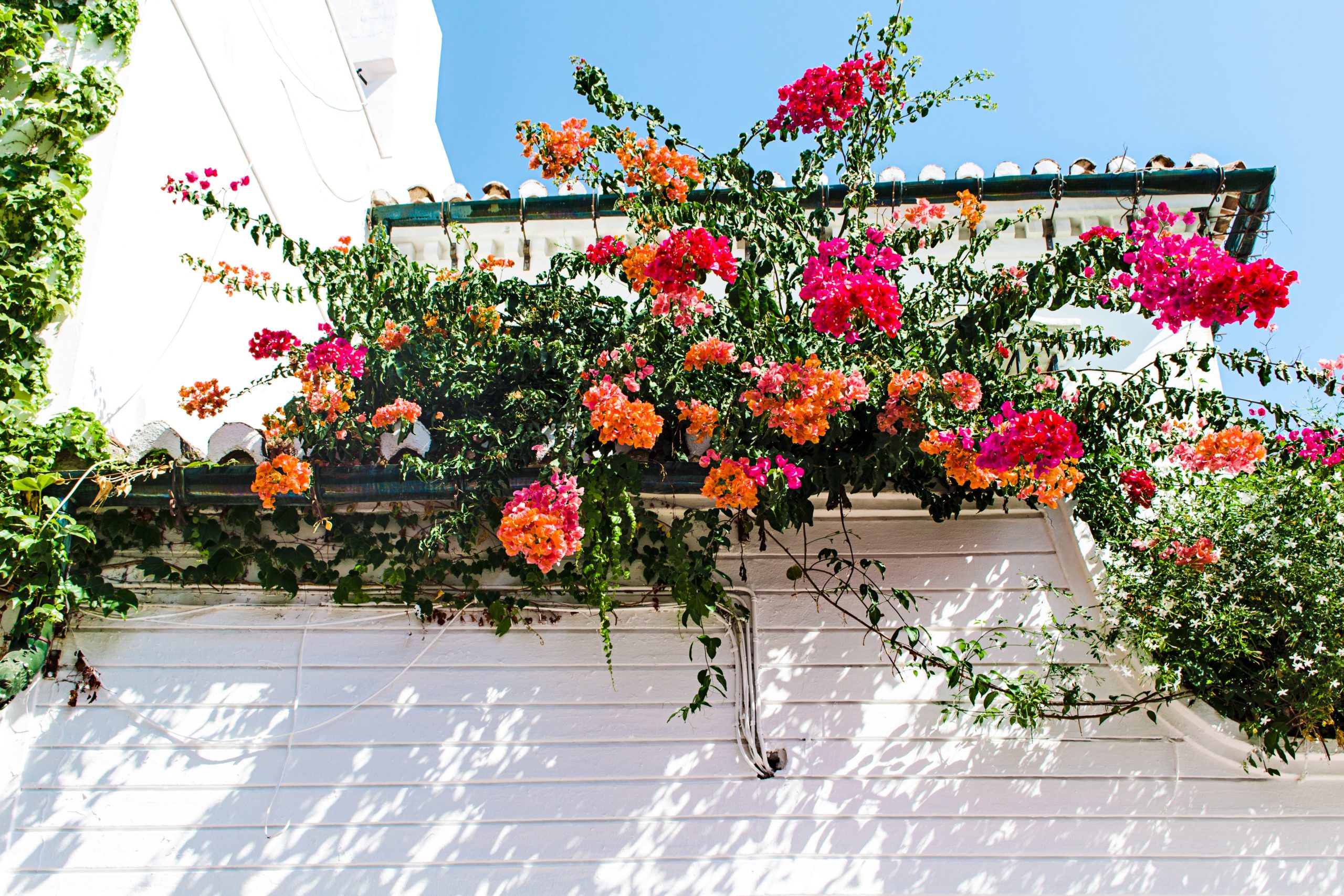 Summer Rental Property Maintenance