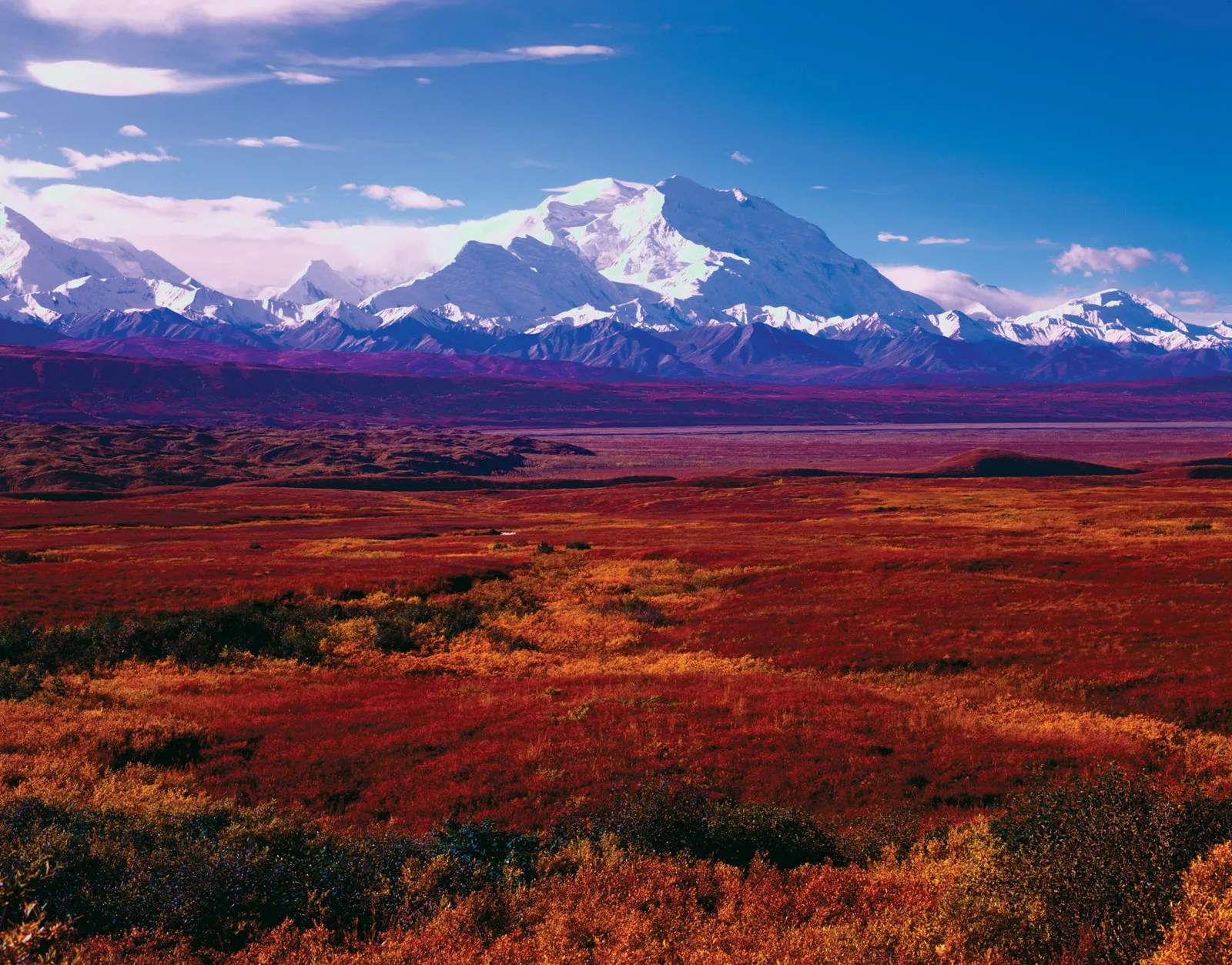 Alaska Lease Agreements: A 2024 Guide